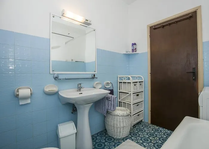 Josipa 4209 セルツェ